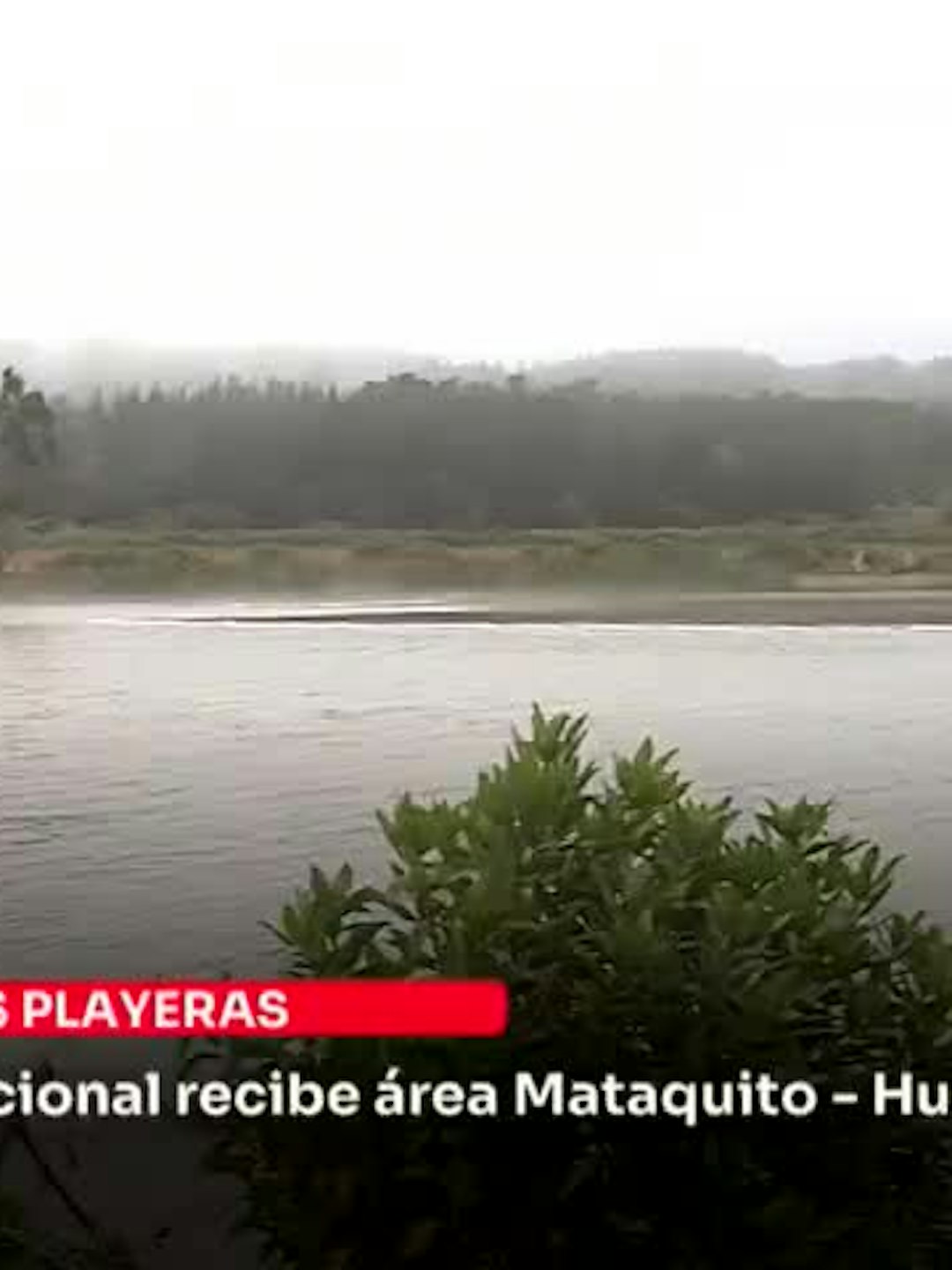 Distinción internacional recibe área Mataquito - Huenchullamí