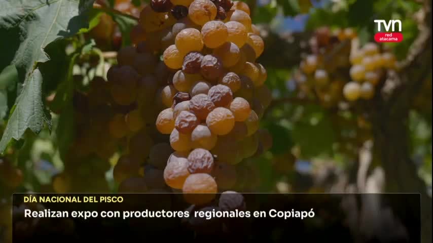 DÍA DEL PISCO
