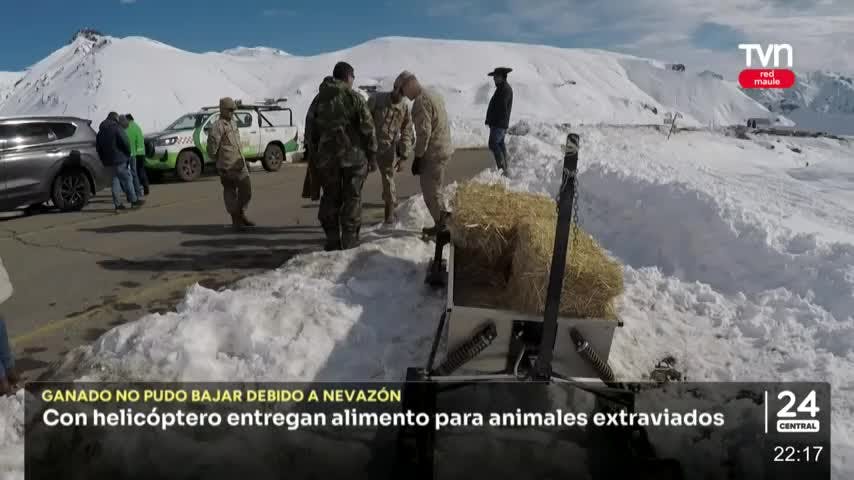 Con helicóptero entregan alimento a animales extraviados