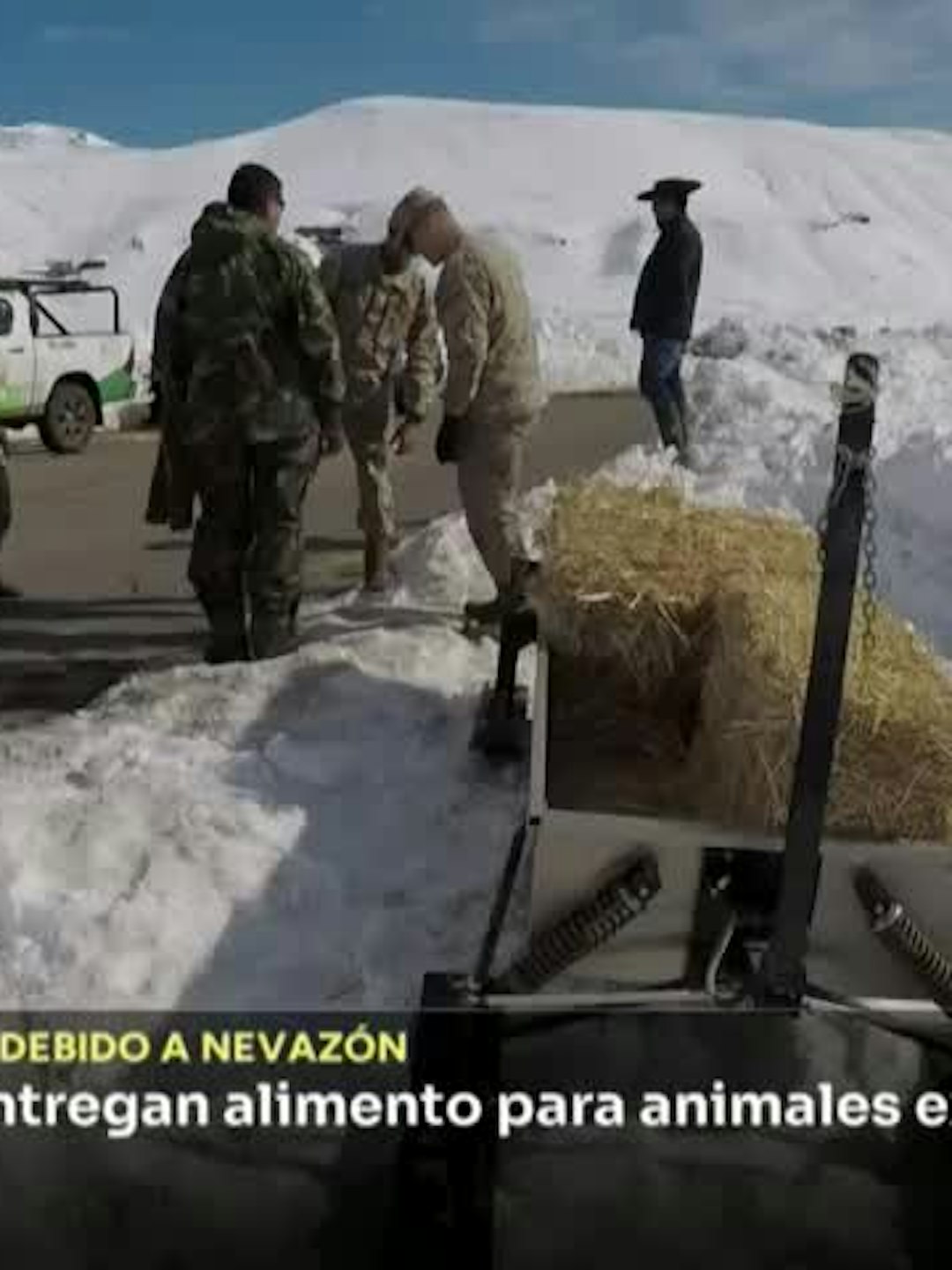 Con helicóptero entregan alimento a animales extraviados