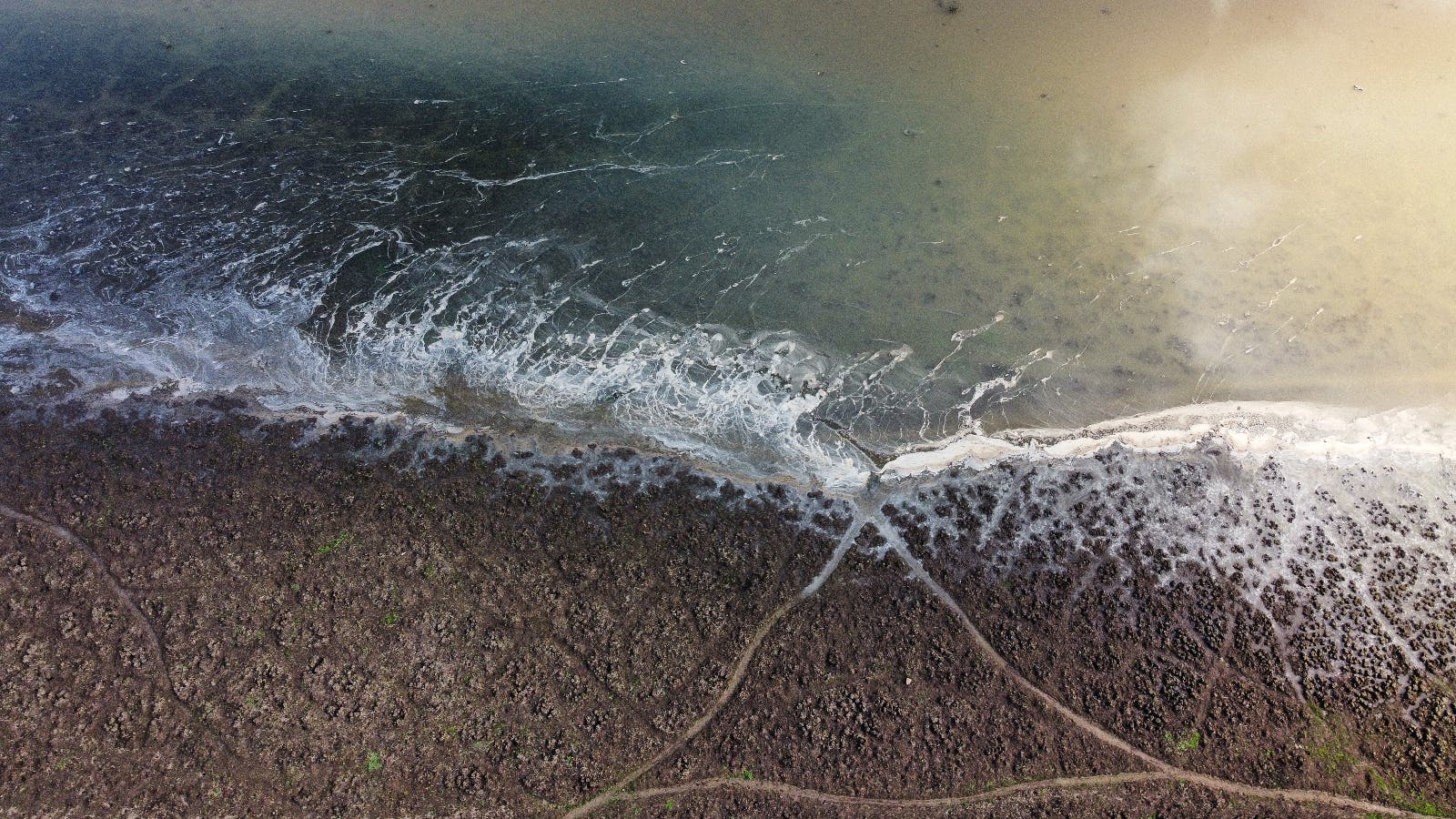 Se acerca un posible invierno seco: Mientras antes se establezca La Niña, peor para nosotros