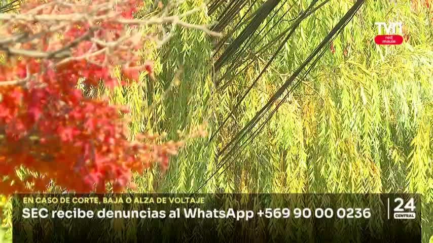 SEC detectó que falta de mantención provocó explosión