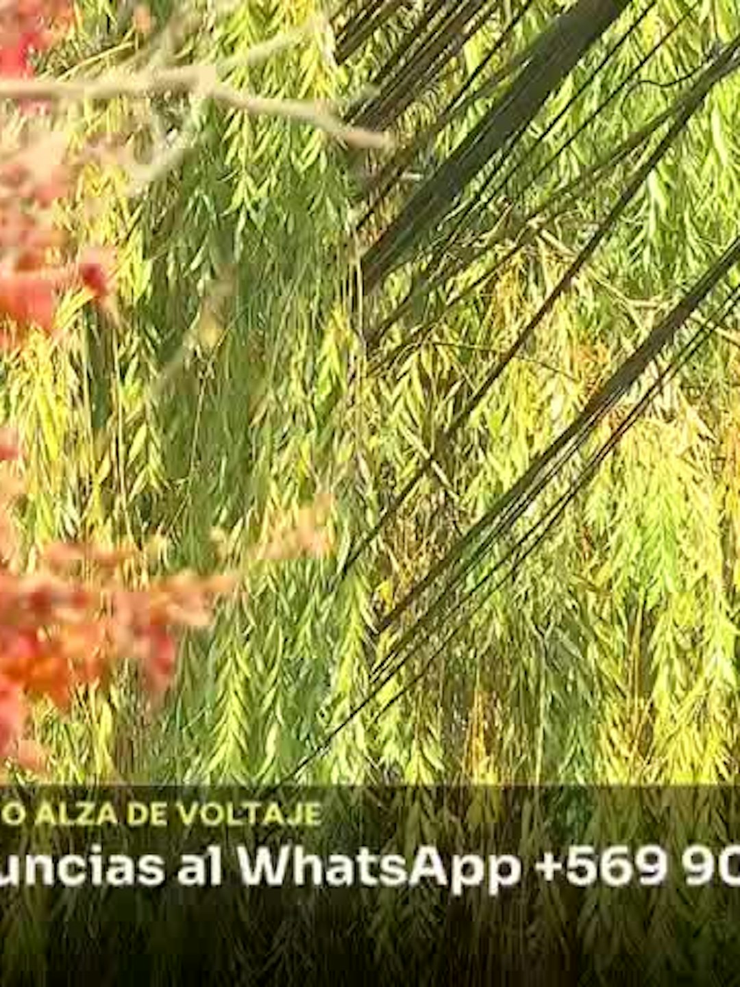 SEC detectó que falta de mantención provocó explosión
