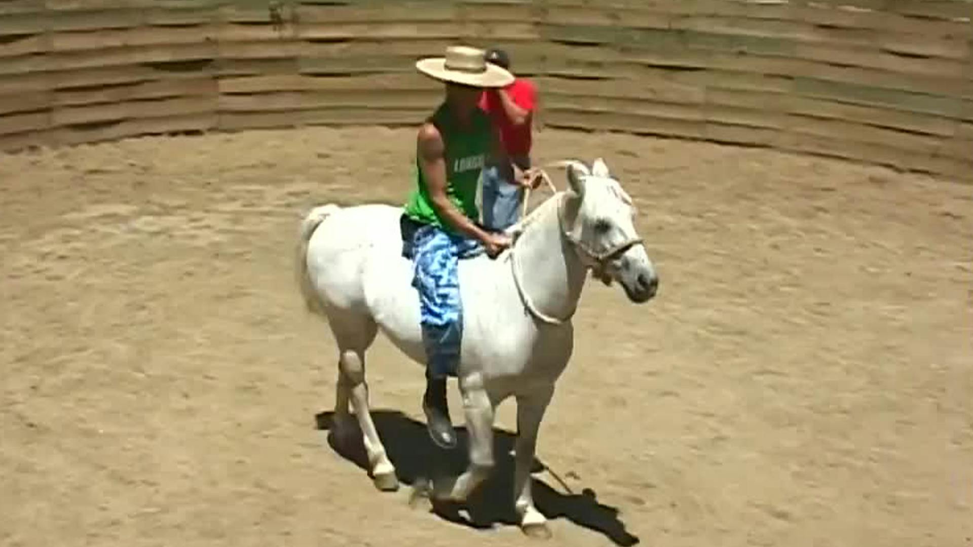 Reclutas visitan Puro caballo  | Pelotón - T4E50