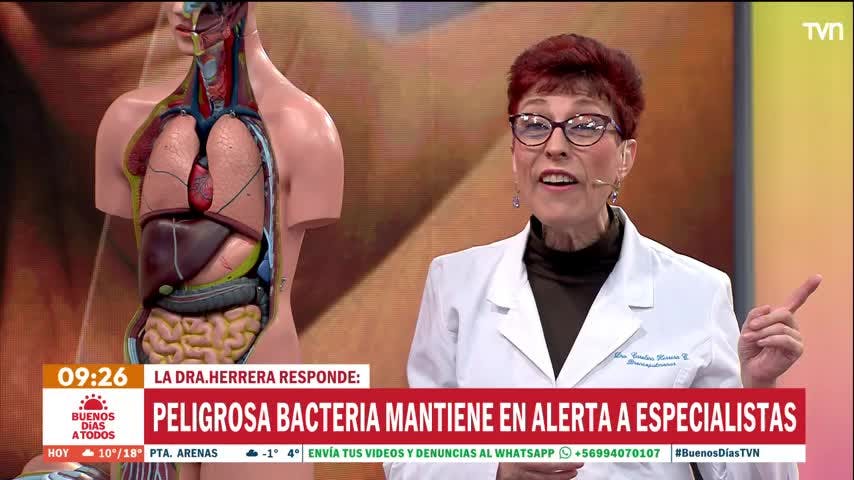 Brote de estreptococo: Doctora Herrera explica cómo es la infección que agrava la influenza