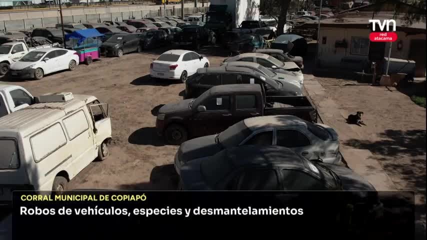 SIN VIOLENCIA
