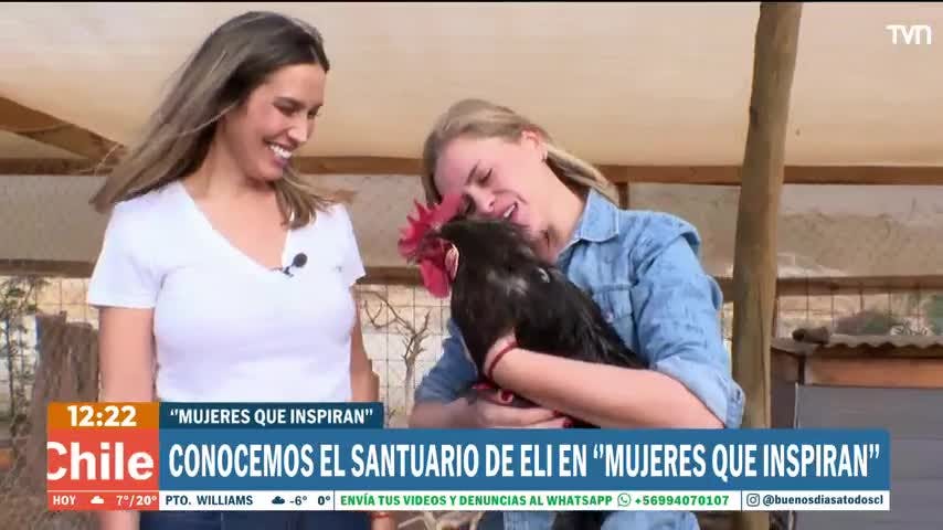 Mujeres que inspiran: Eliana Albasetti convirtió su casa en un santurio para animales