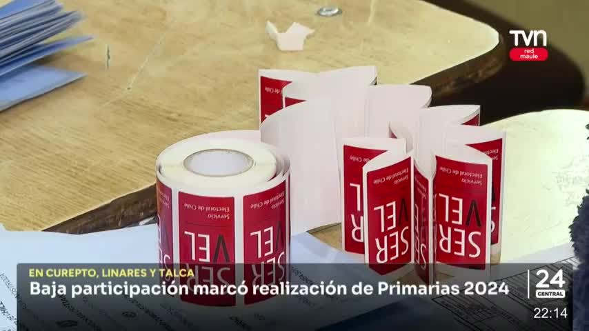 Baja participación marcó realización de Primarias 2024