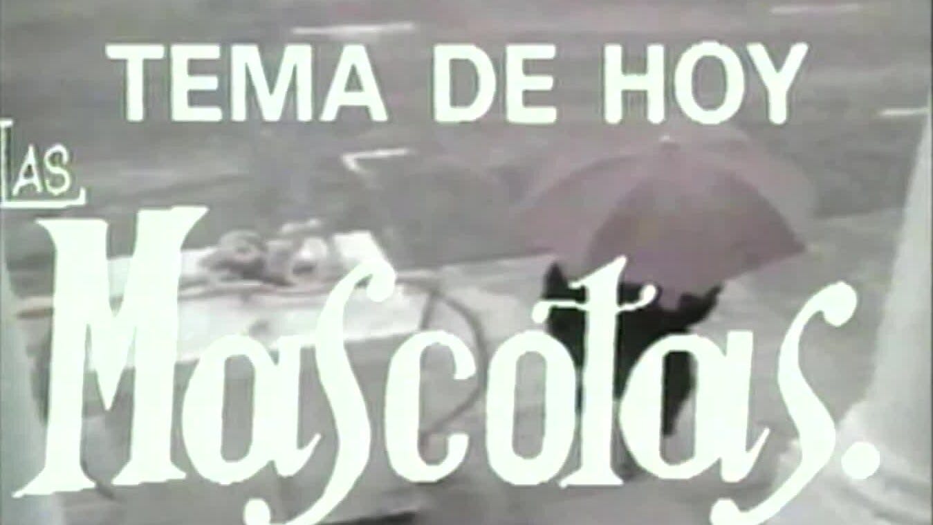 Las mascotas | Ene TV - T1E131