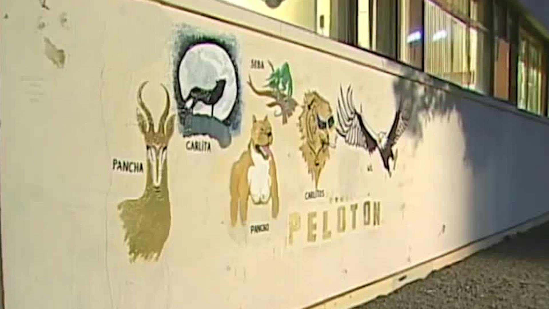 Camuflaje | Pelotón - T4E69