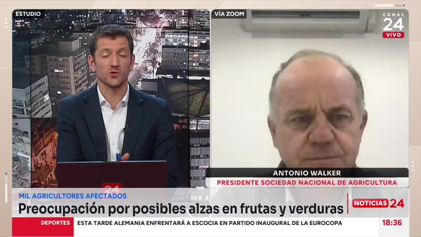SNA y efectos del sistema frontal en en frutas y verduras: “No debiera haber ninguna alza de precios”