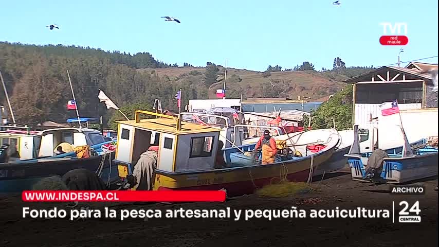Llaman a postular a fondo para la pesca y acuicultura