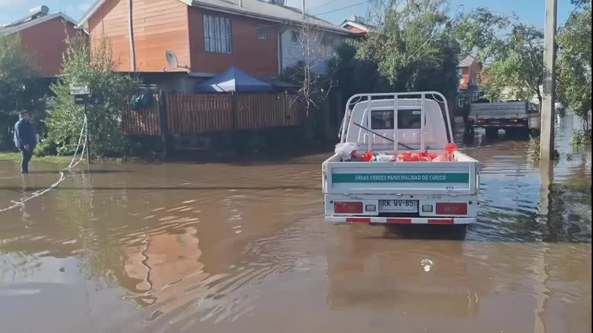 Curicó, Teno y San Clemente entre zonas más afectadas