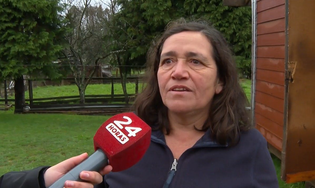 "El viento me quería llevar": El relato de mujer que sobrevivió a tornado en Malalhue