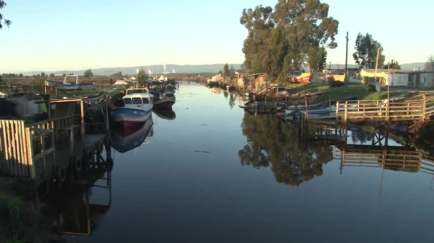 Pescadores de Caleta Arauco llevan más de un mes sin trabajar