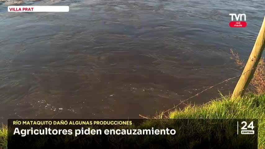 Incertidumbre por precios en hortalizas 