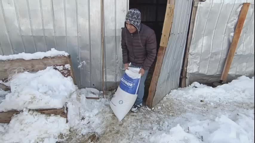 Minagri logró entregar ayuda en alimento en valle del Queuco