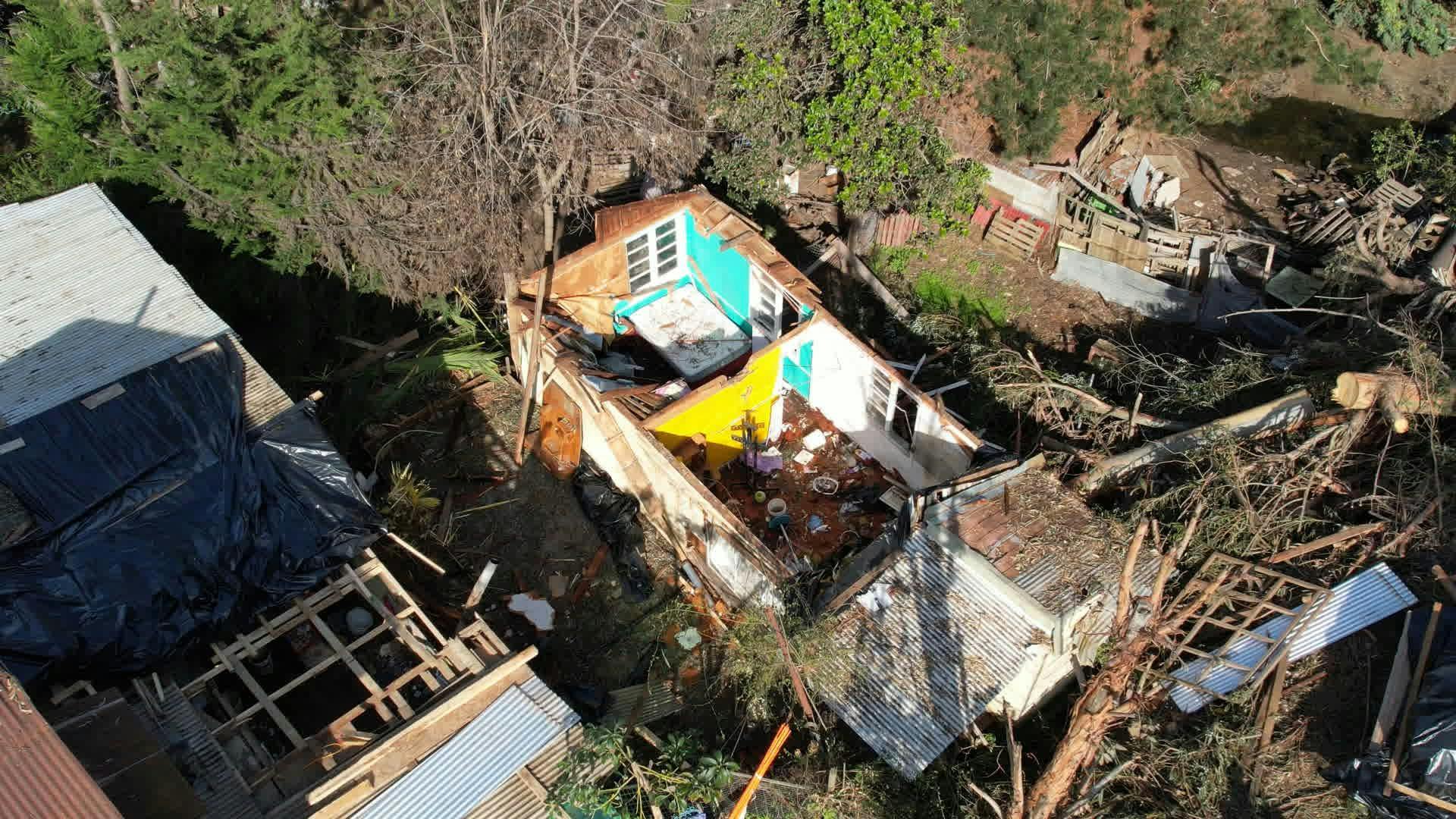 Árbol cae sobre vivienda en Quilpué dejándola inhabitable