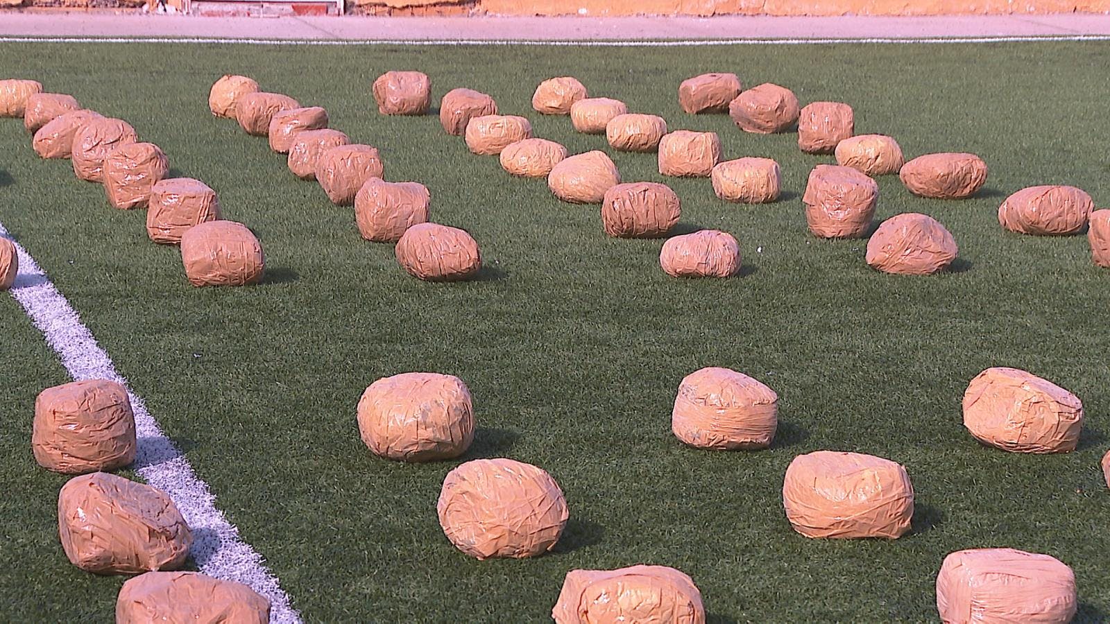 Carabineros concreta nuevo procedimiento antidroga