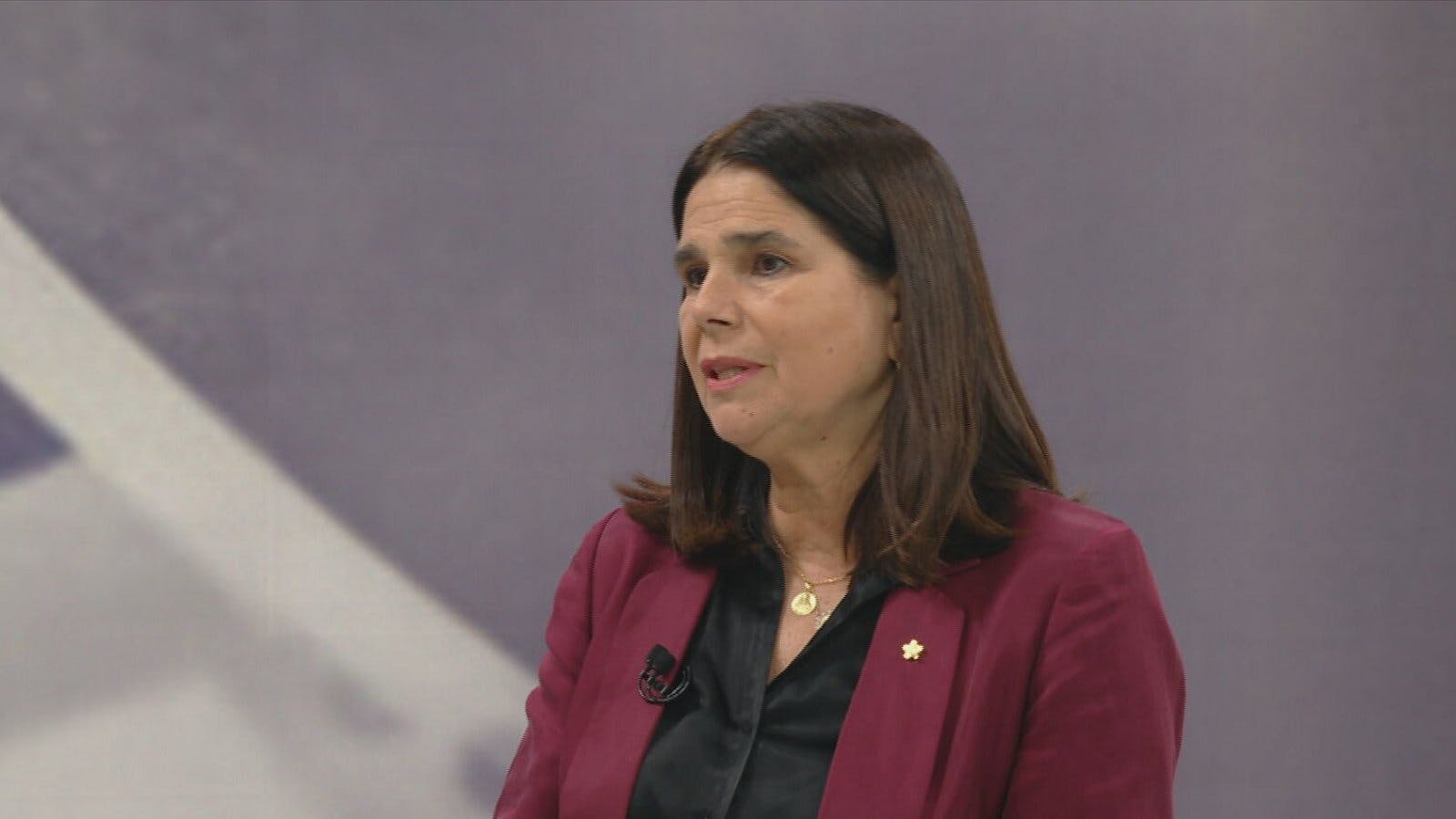 Diputada Ossandón: Debemos ver qué programas podrían esperar un tiempo y así ampliar el subsidio