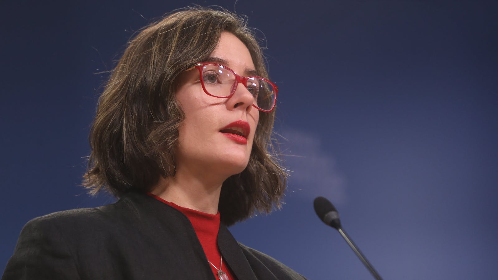 Vallejo por reforma previsional: Requerimos los votos de la oposición, hemos cedido bastante