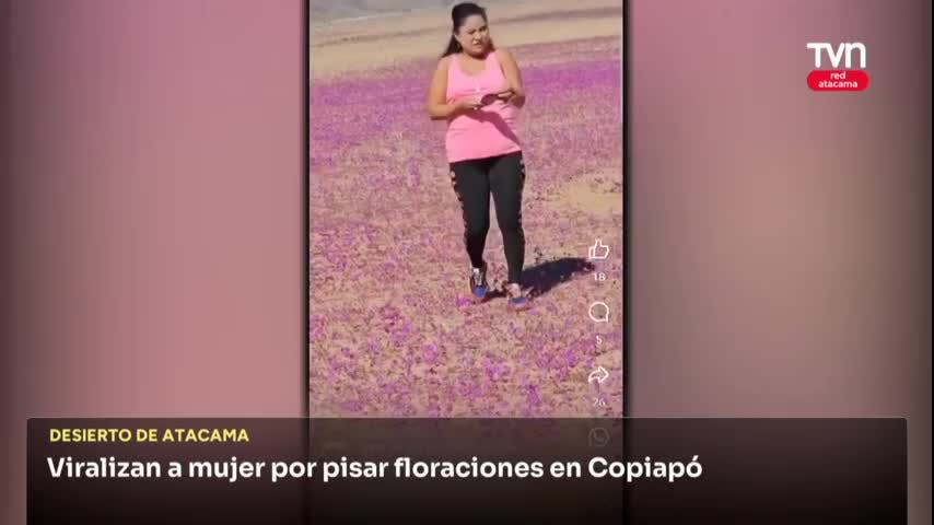 Viralizan a mujer por pisar floraciones