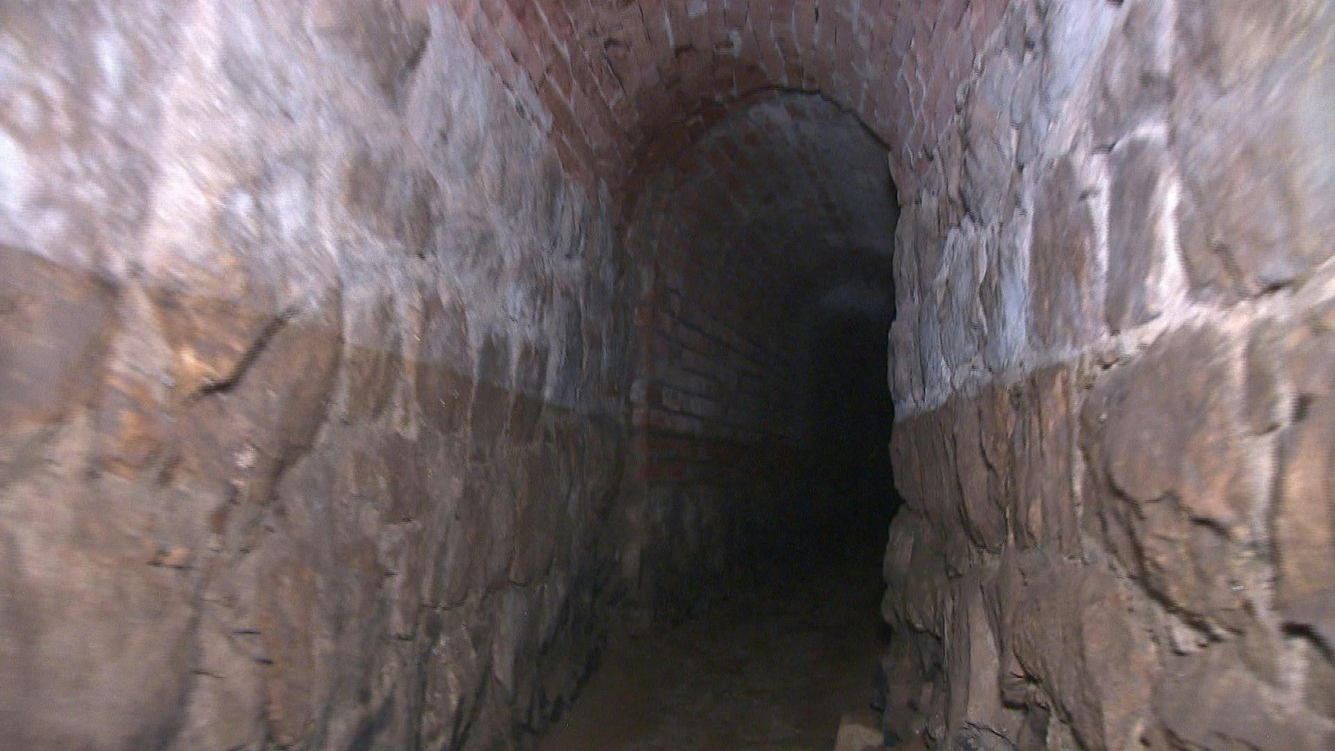 Familiares de adulta mayor desaparecida en Limache pide ampliar sector de búsqueda