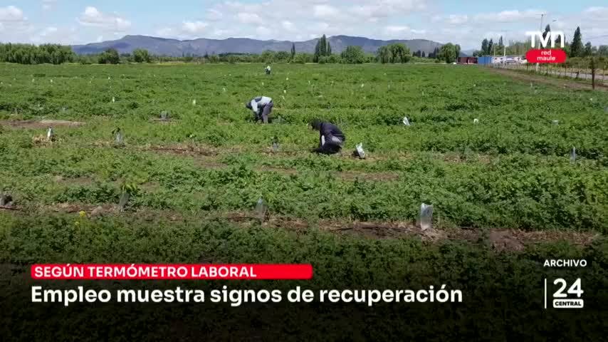 Empleo muestra signos de recuperación