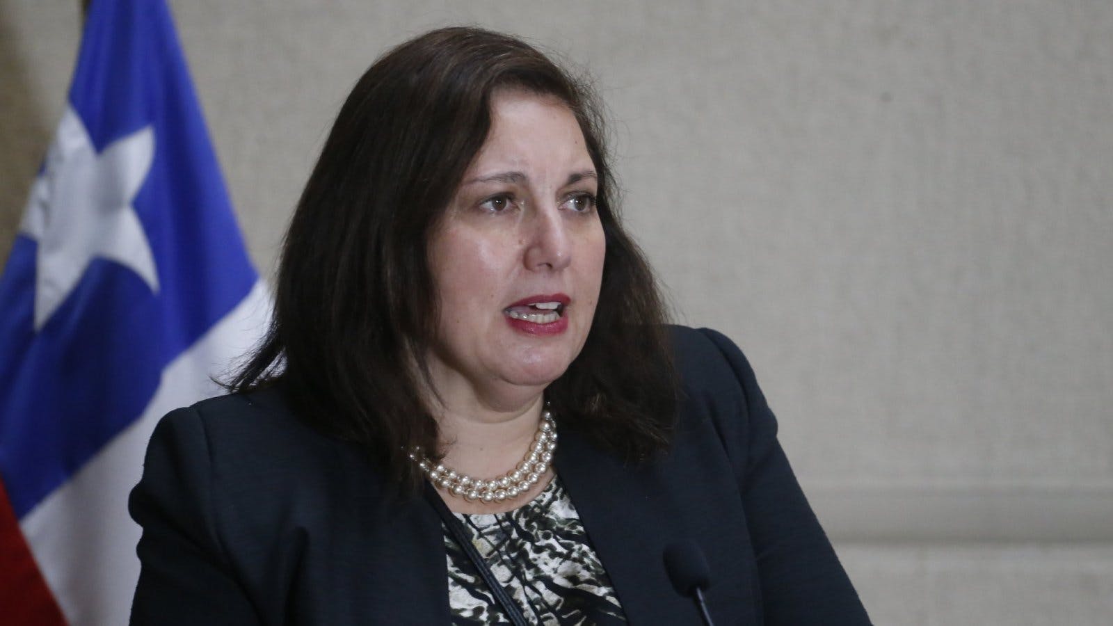 Vodanovic: La alianza de Gobierno debiera estar unida y nos estamos desgastando en críticas y acusaciones estériles