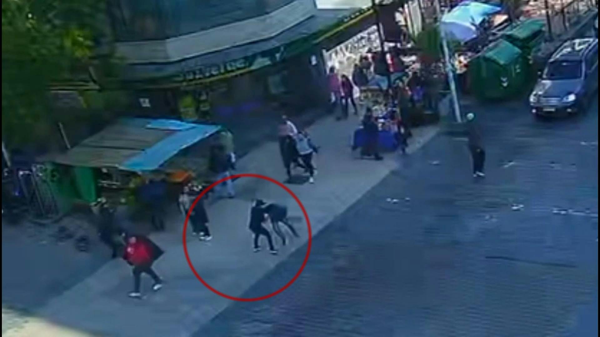 Registran feroz agresión de menor de edad tras asaltar a peatón en Viña del Mar