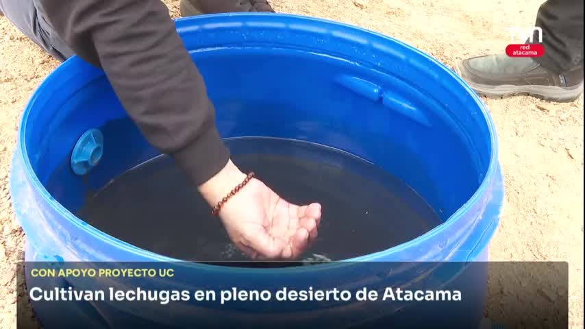 CON APOYO DE U. CATÓLICA