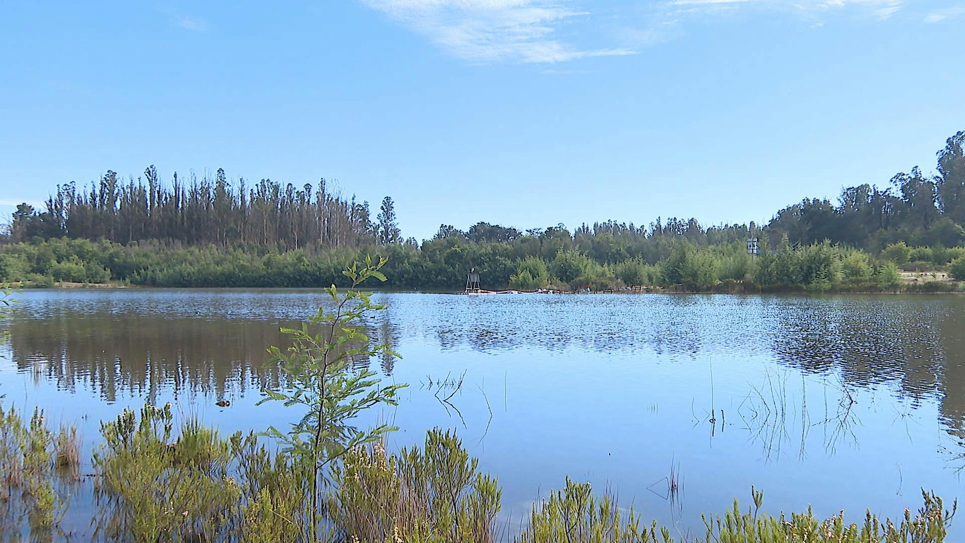 Comienza reforestación de Parque Lago Peñuelas en Valparaíso