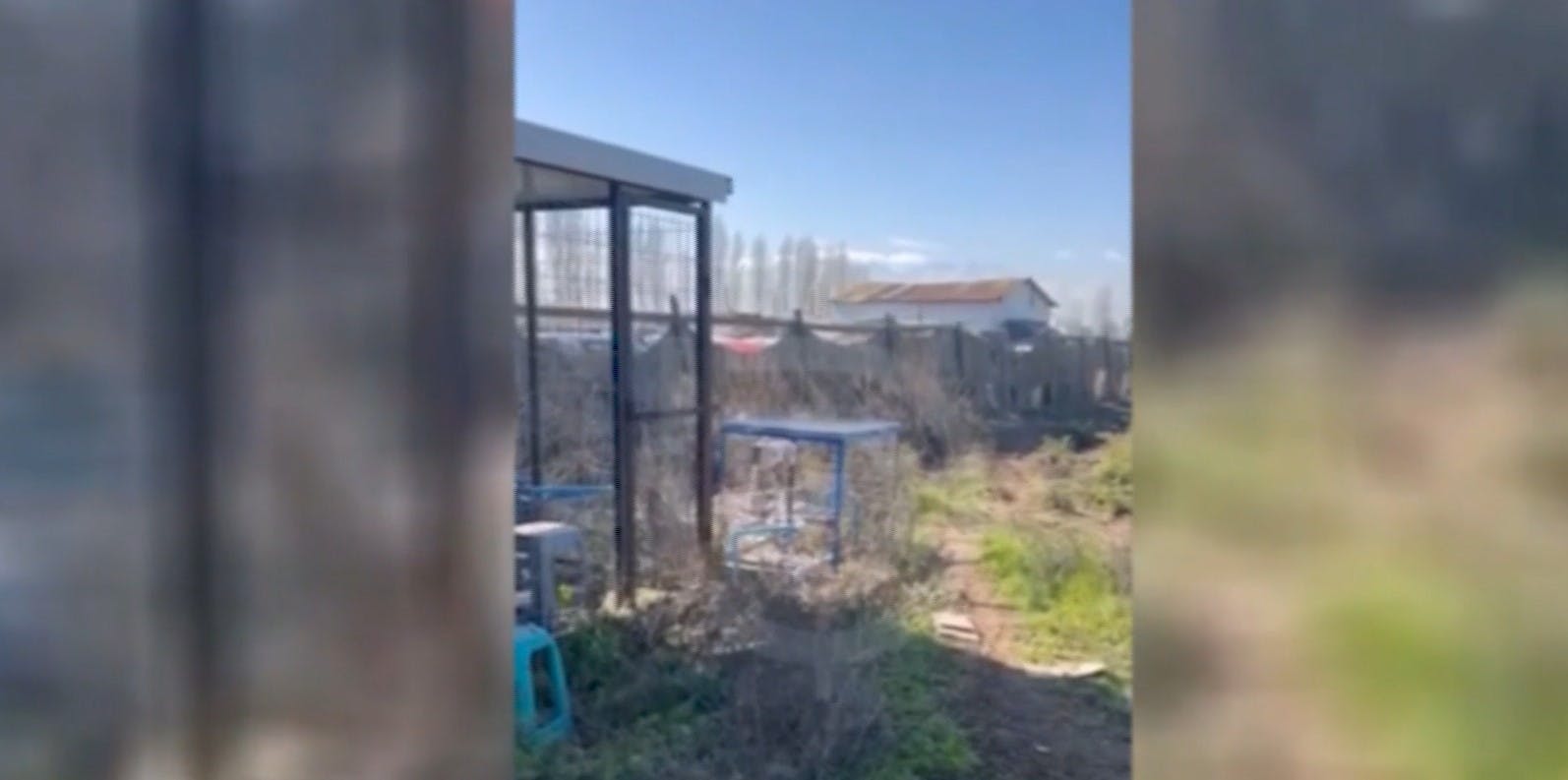 "Un plomazo, mamahuevo": Revelan impactantes relatos de balacera en Lampa 
