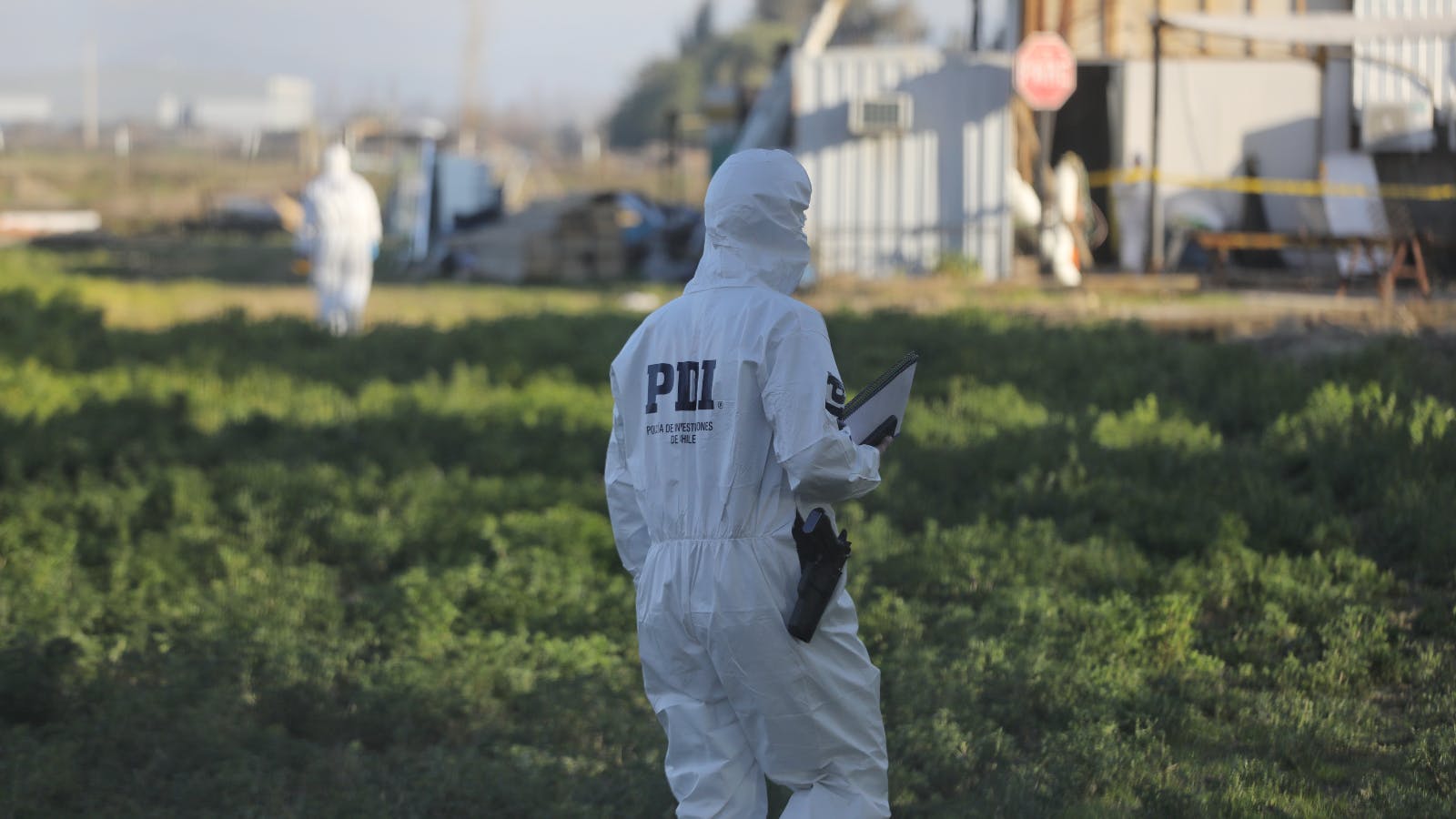 Director de Paz Ciudadana: Estamos en el mayor número de delitos violentos en la historia