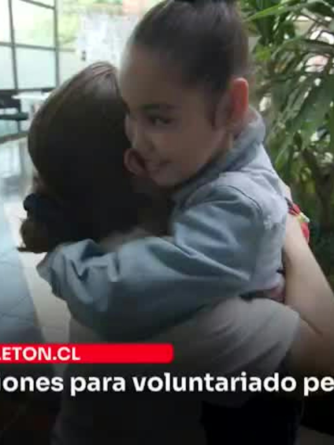 Abren inscripciones para voluntariado permanente