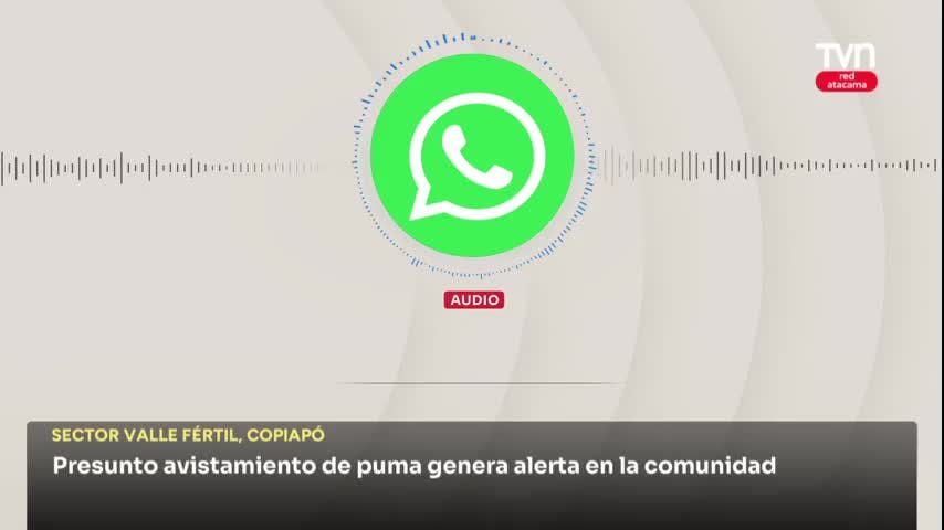 Presunto avistamiento de puma