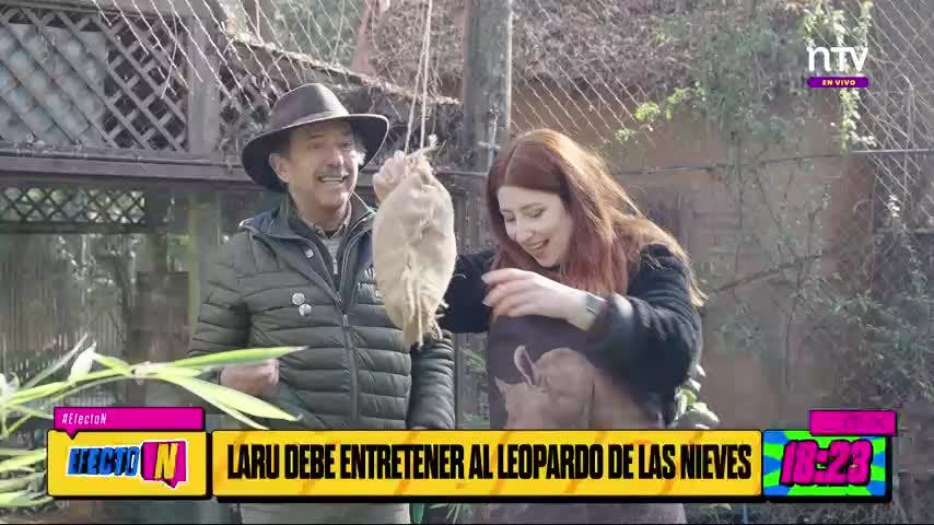 ¡Trabajé en el Buin zoo todo un día!