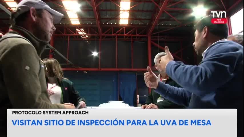 Avanza sitio de inspección para la uva de mesa