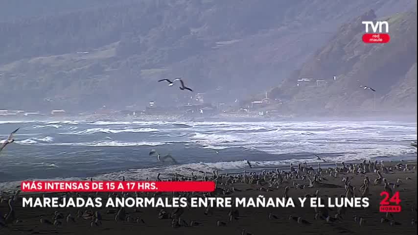 Marejadas anormales entre mañana y el lunes