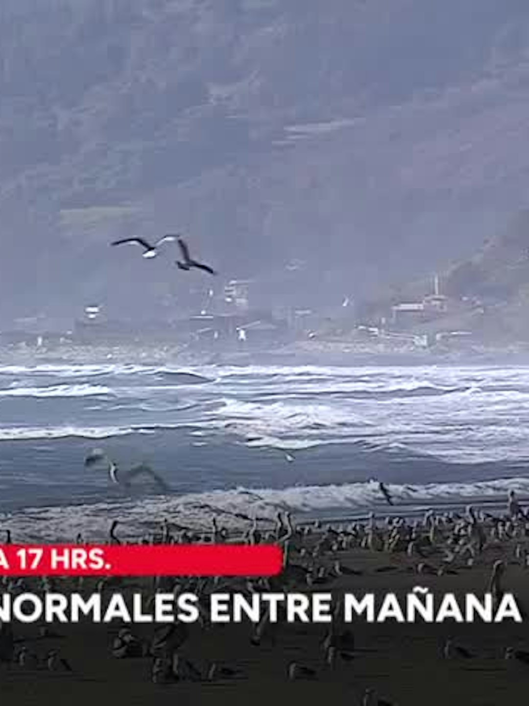 Marejadas anormales entre mañana y el lunes