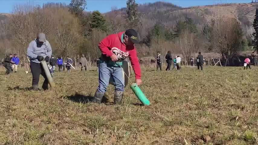 Recuperan fiesta del camarón en Santa Juana