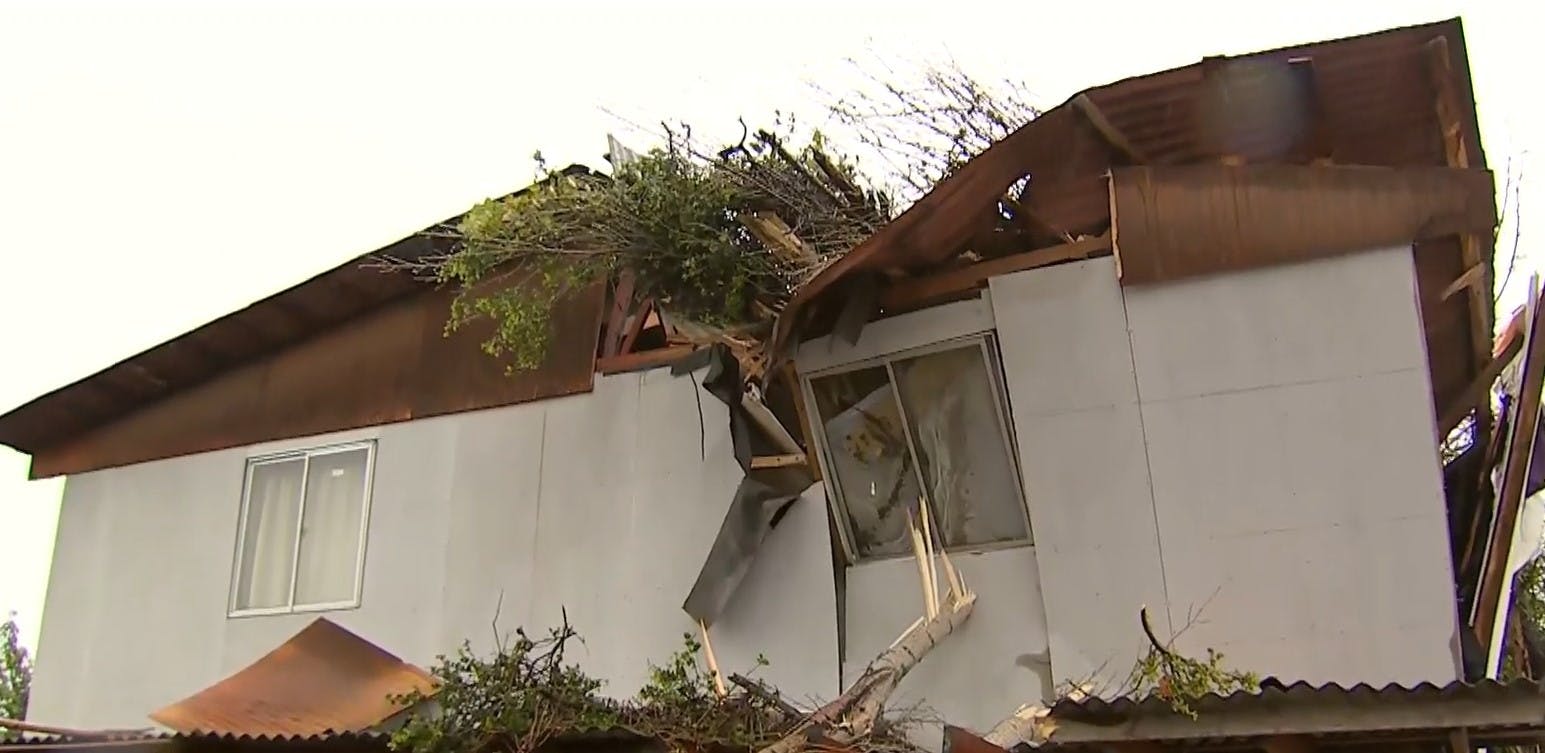 Pudo ser una tragedia: Tres heridos tras caída de árbol sobre casa de La Florida
