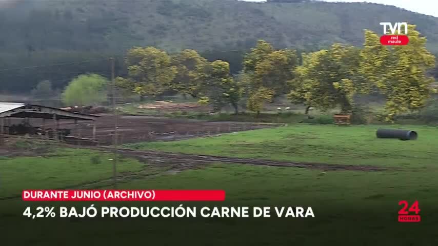 4,2% bajó la producción de carne en junio