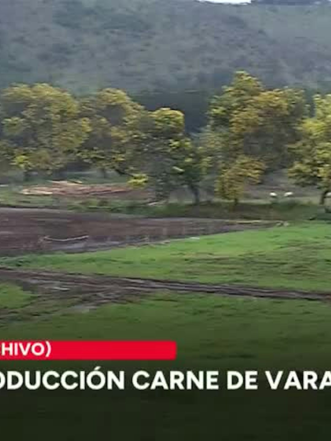 4,2% bajó la producción de carne en junio
