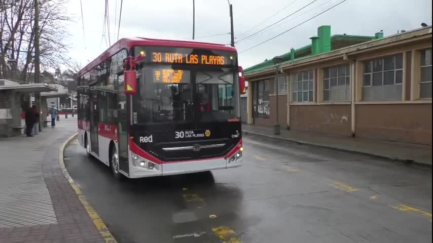 Penco incorporará 16 buses eléctricos