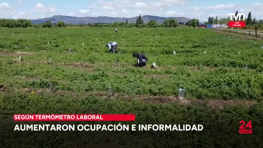 Aumentaron ocupación e informalidad