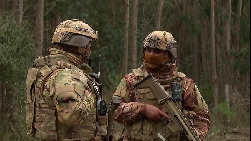 Desaparece violencia rural en Biobío tras asesinato de Carabineros