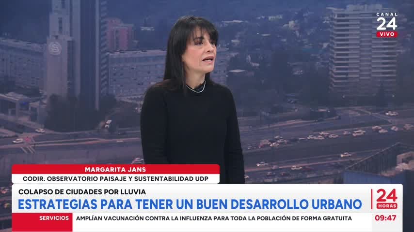 Experta y estragos por vientos: Mientras tengamos líneas aéreas, estamos expuestos