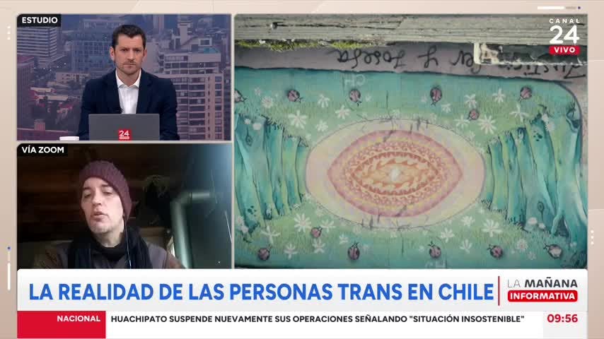 Investigador de Detrans Chile: Al activismo hegemónico le molestan las historias de destransición