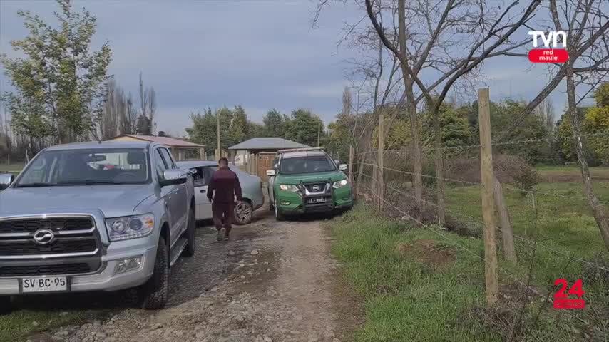 Matanza de perros indignó a vecinos de Linares